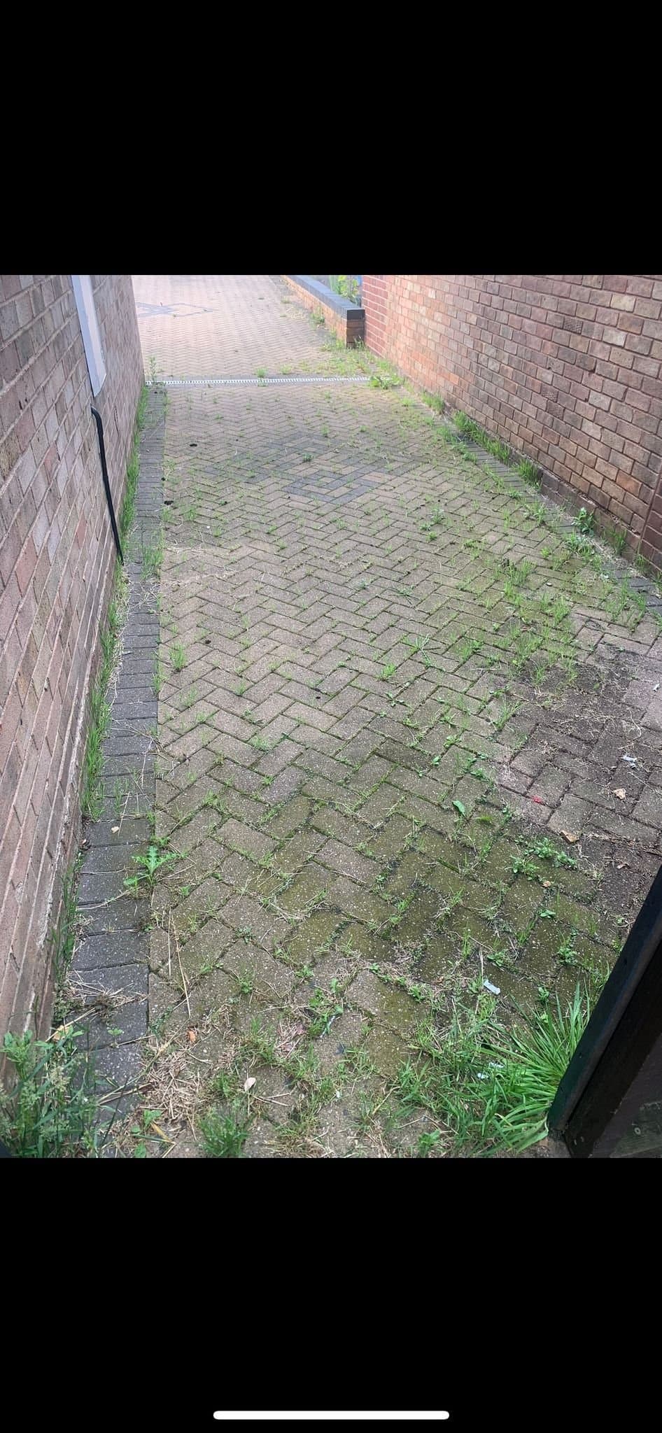 Driveway before professional cleaning